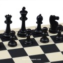 Basic Chess Set for School