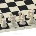 Basic Lightweight Chess Set