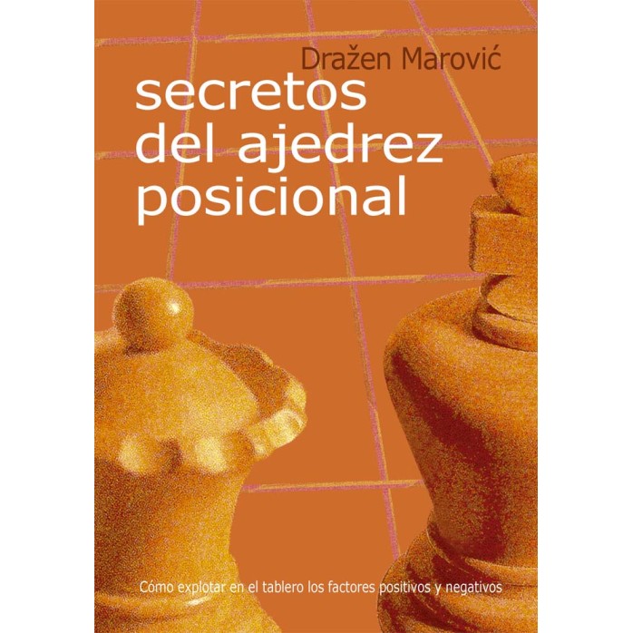  Secretos del ajedrez posicional 