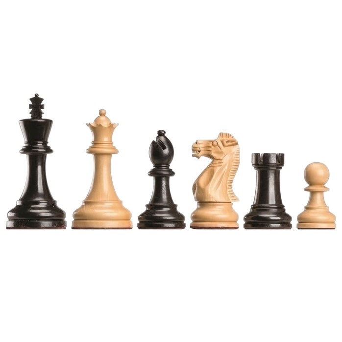 Ajedrez DGT Judit Polgar Deluxe