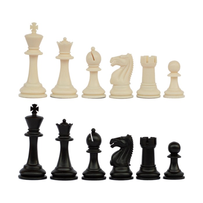 Pack of 10 Chess Games for School and Wall