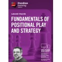 Fundamentals of Positional Play and Strategy