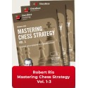 Mastering Chess Strategy Vol.1-3