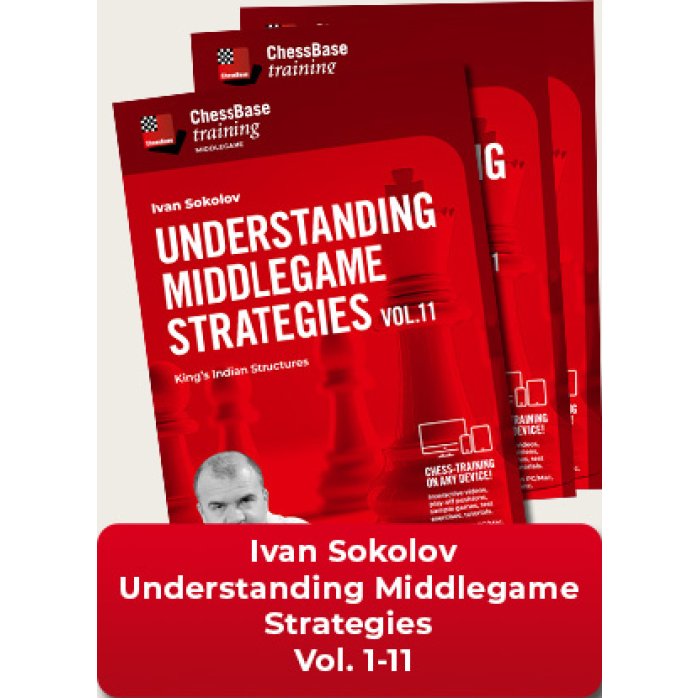 Understanding Middlegame Strategies Vol.1 - 11