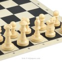 Staunton plastic chess pieces n.5 for competition