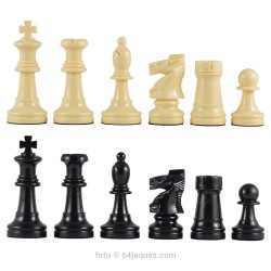 Staunton plastic chess pieces n.5 for...