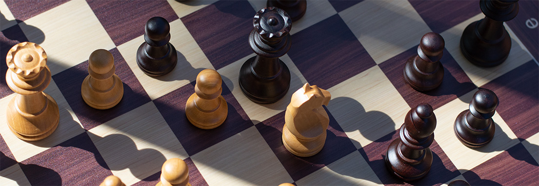 Chessboards Venier - categories banner 1.jpg