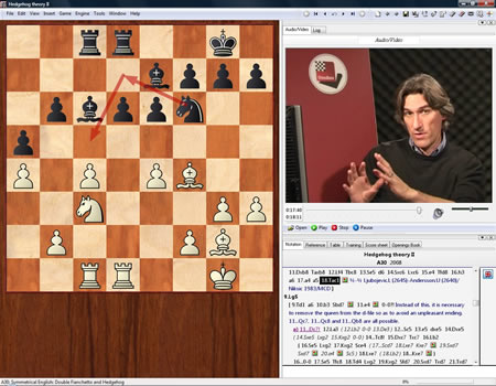Posición de ajedrez Hedgehog 3