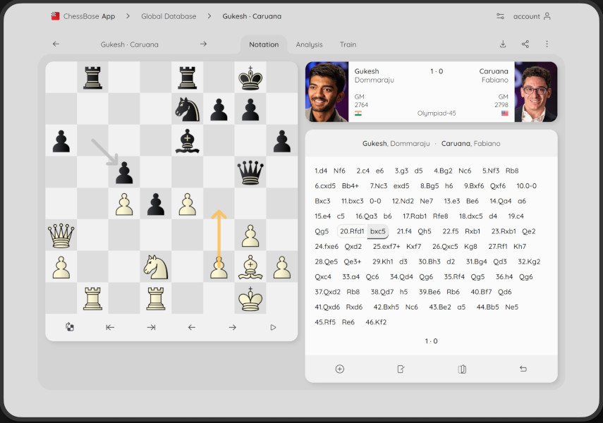 pantallazo ejemplo 1 del producto: ChessBase Mobile
